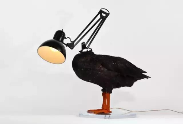 他把12个前女友都做成了高跟鞋？到底是真的假的