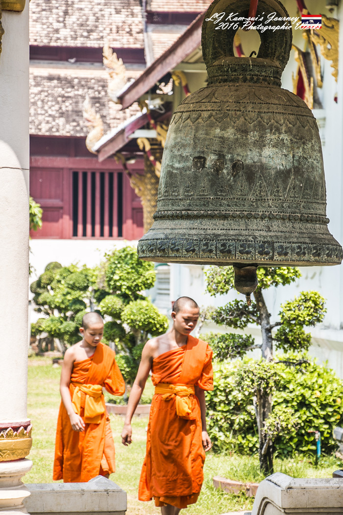 泰国清迈县旅行者,清迈佛寺之城等你采撷的泰北玫瑰