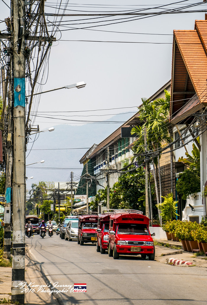清迈佛寺之城等你采撷的泰北玫瑰,清迈环球旅行家