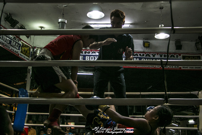 清迈佛寺之城等你采撷的泰北玫瑰,清迈环球旅行家