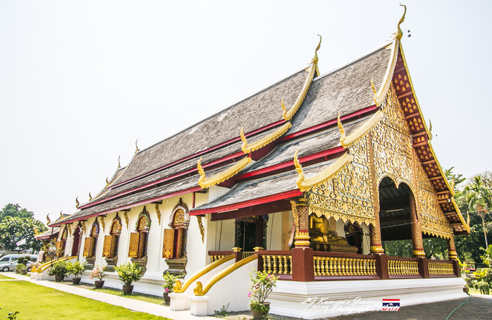 清迈佛寺之城等你采撷的泰北玫瑰,清迈环球旅行家