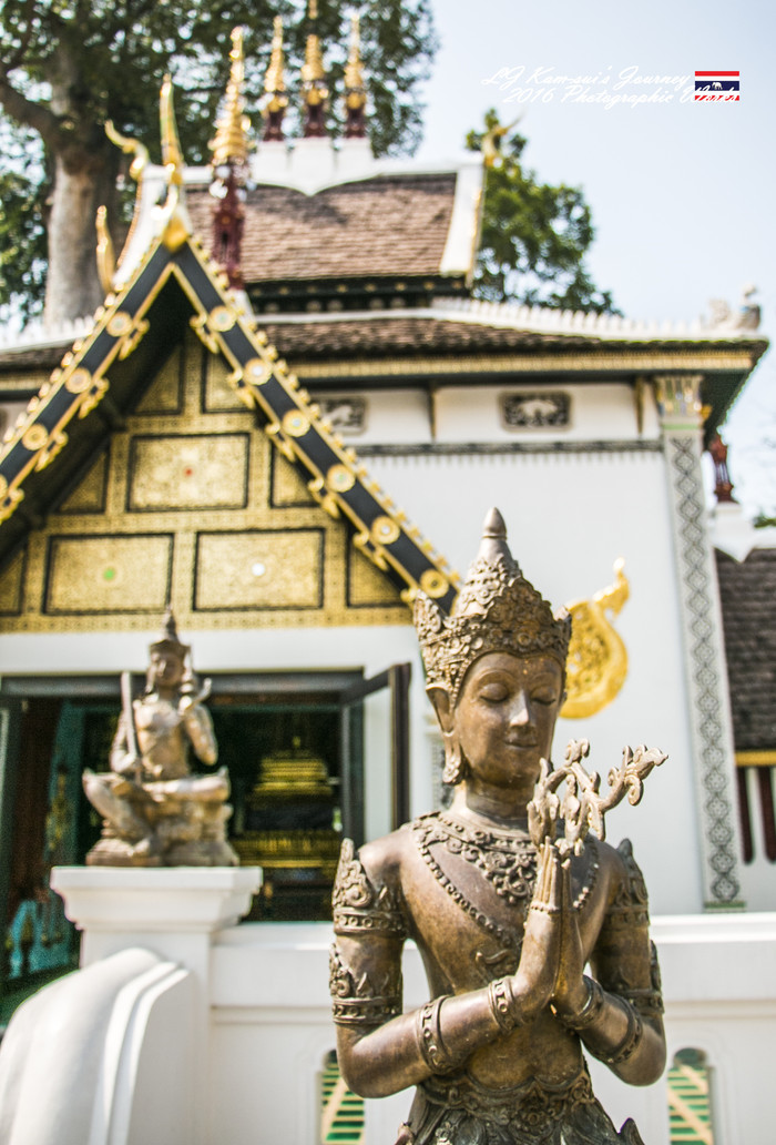 清迈佛寺之城等你采撷的泰北玫瑰,清迈环球旅行家
