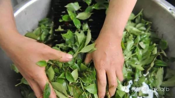 立夏糯米饭,立夏乌米饭香