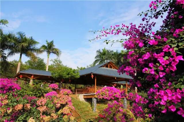 我叫佛山，我家“五美”私房照首次曝光，看看你最中意哪一款？