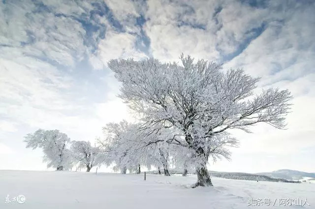 雪藏原版是谁,大兴安岭传奇