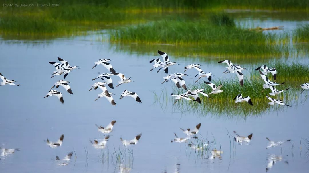 土著带你玩大连开发区,土著带你玩上海