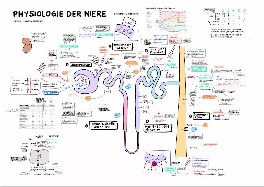 全套文具大礼包10元,超多又好看的文具大礼包