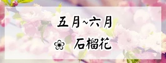 赏花蚌埠,蚌埠春季赏花
