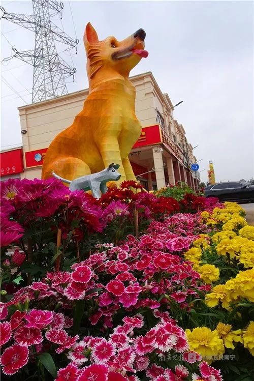 鍗楀畞甯傝彔钀濆箔鍏冨鑺辩伅,2020骞村崡瀹佽彔钀濆箔鑺辩伅