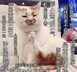 315快来了该怎么投诉,315真的帮你维权吗