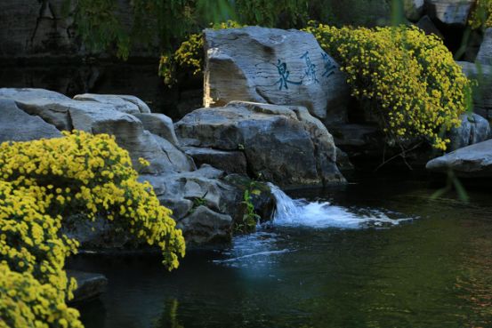 灵动的泉韵，来一场游老街感受老城风味的亲水之旅吧！