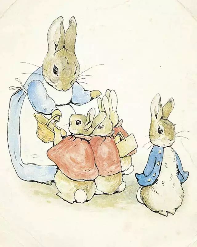 比得兔的故事大全视频,比得兔的故事文字版