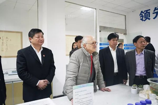 两分钟教你如何高效率的去除甲醛,黑科技除甲醛