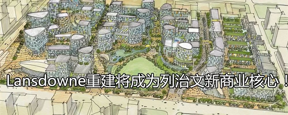 Costco卖的鱼油竟然是假货？！那回国还能带什么当伴手礼啊！