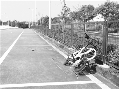 海口大学城的共享电动车 (海南桂林洋有共享电动车吗)