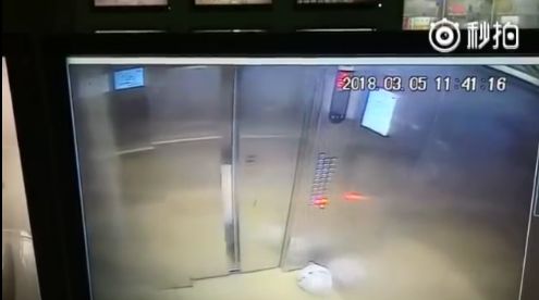 陕西最近双色球大奖,最新陕西双色球中奖8人