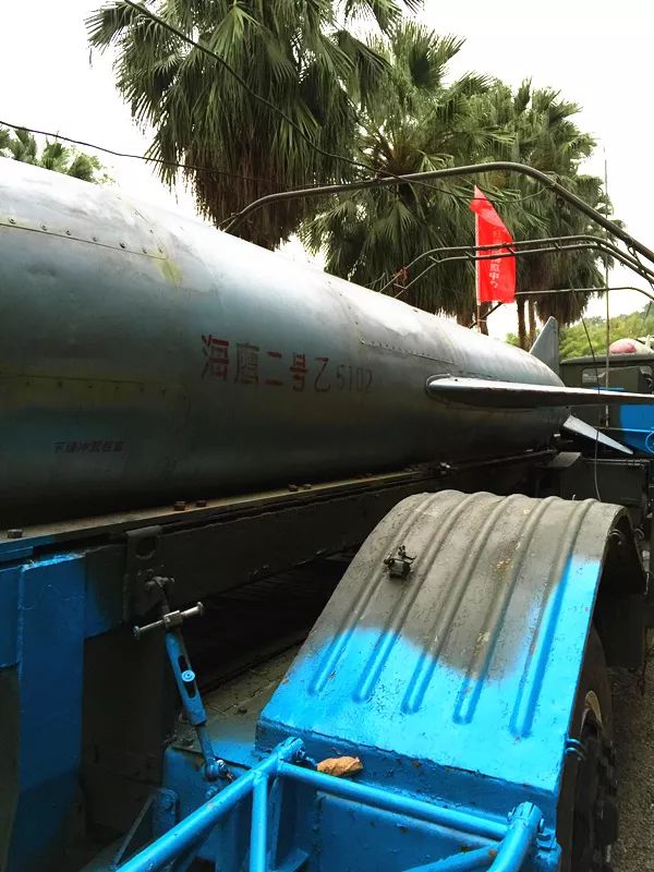 广东三八节门票免费的景点,三八女神节哪个旅游景区免票