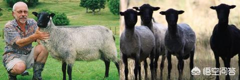 围巾怎样系上档次,男式围巾系法大全