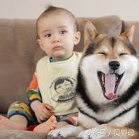 新出生的狗宝宝,狗崽起名字大全