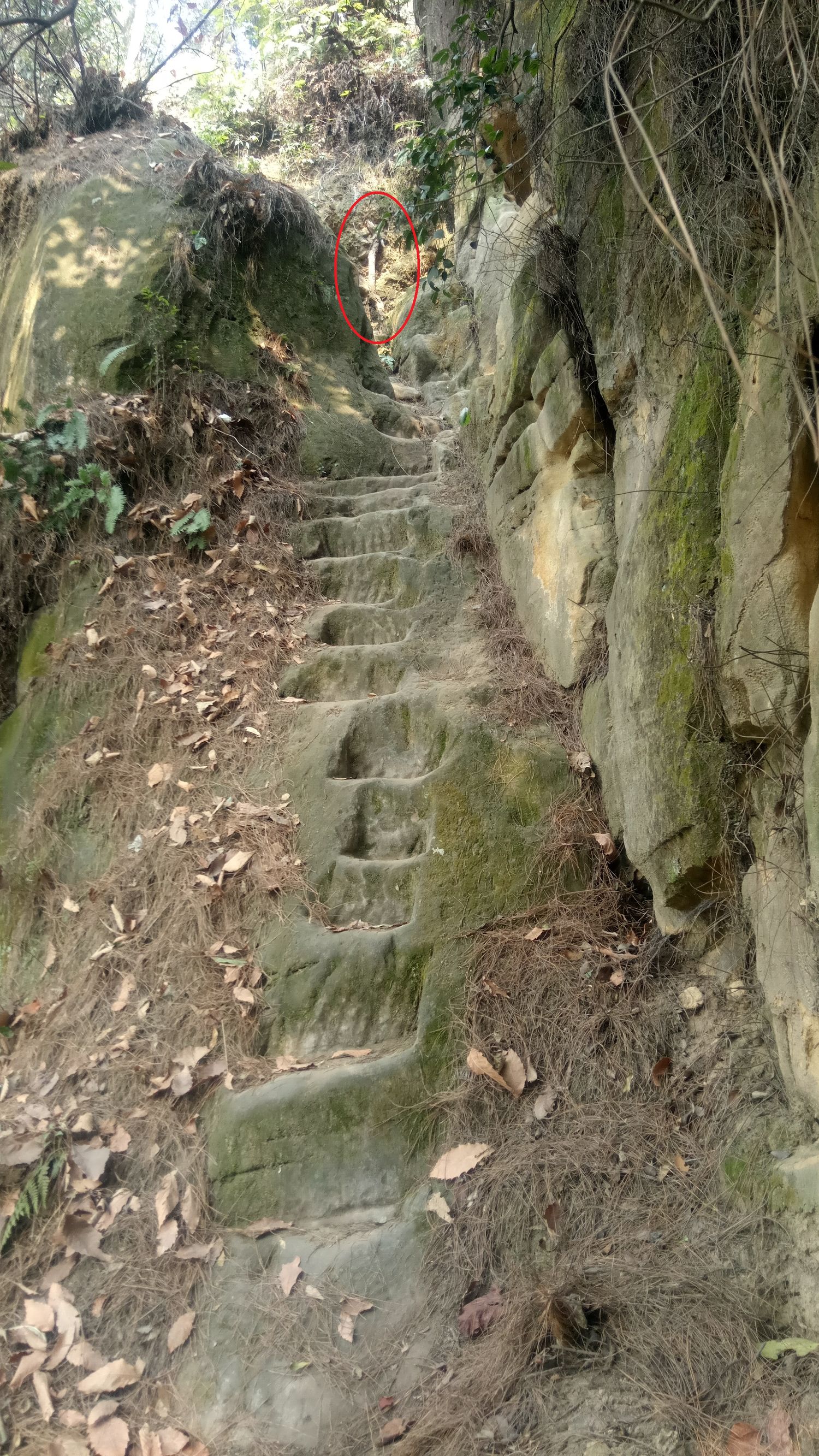 纯天然氧吧是锻炼的好地方,天然氧吧骑行好去处