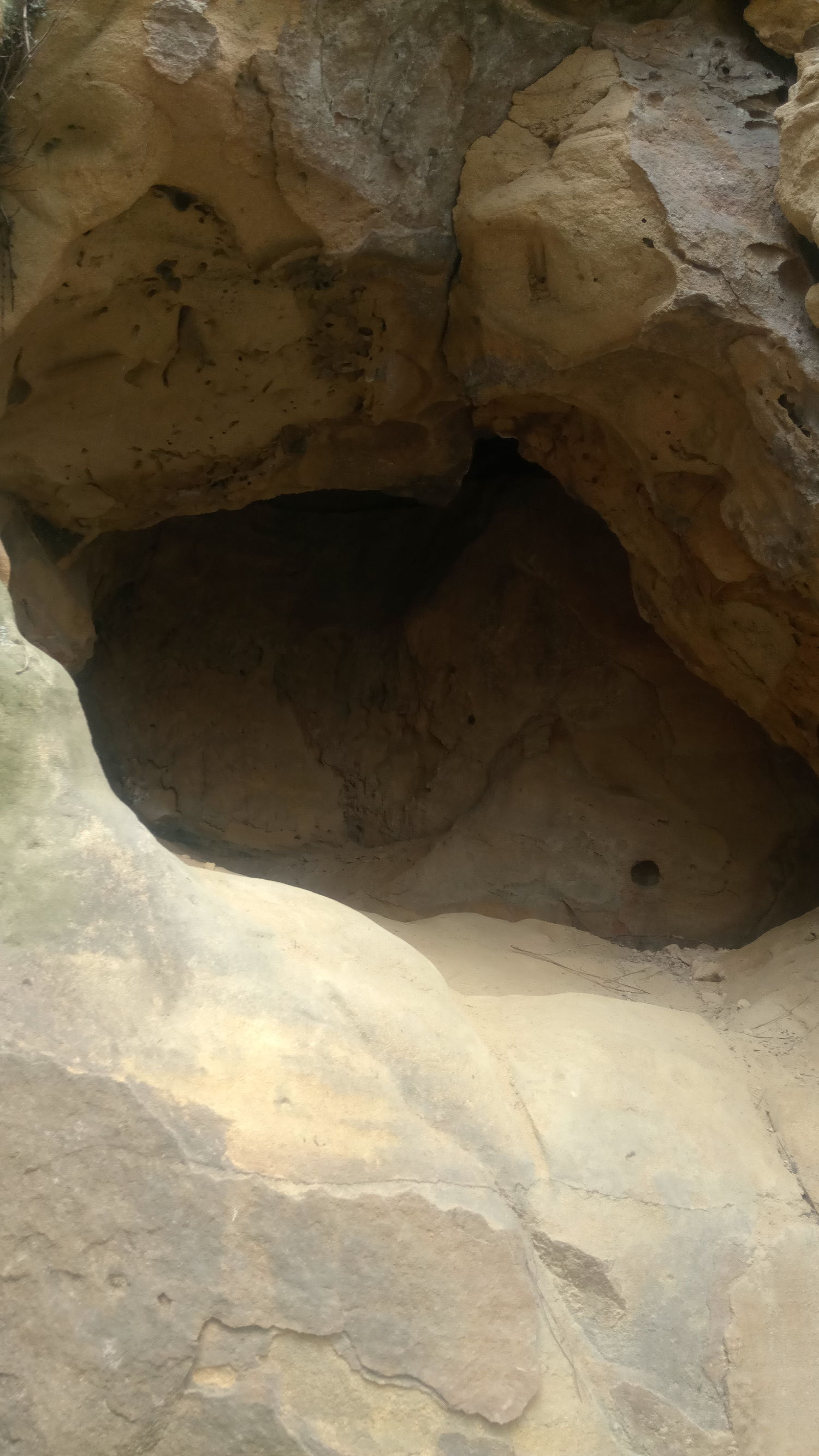 纯天然氧吧是锻炼的好地方,天然氧吧骑行好去处