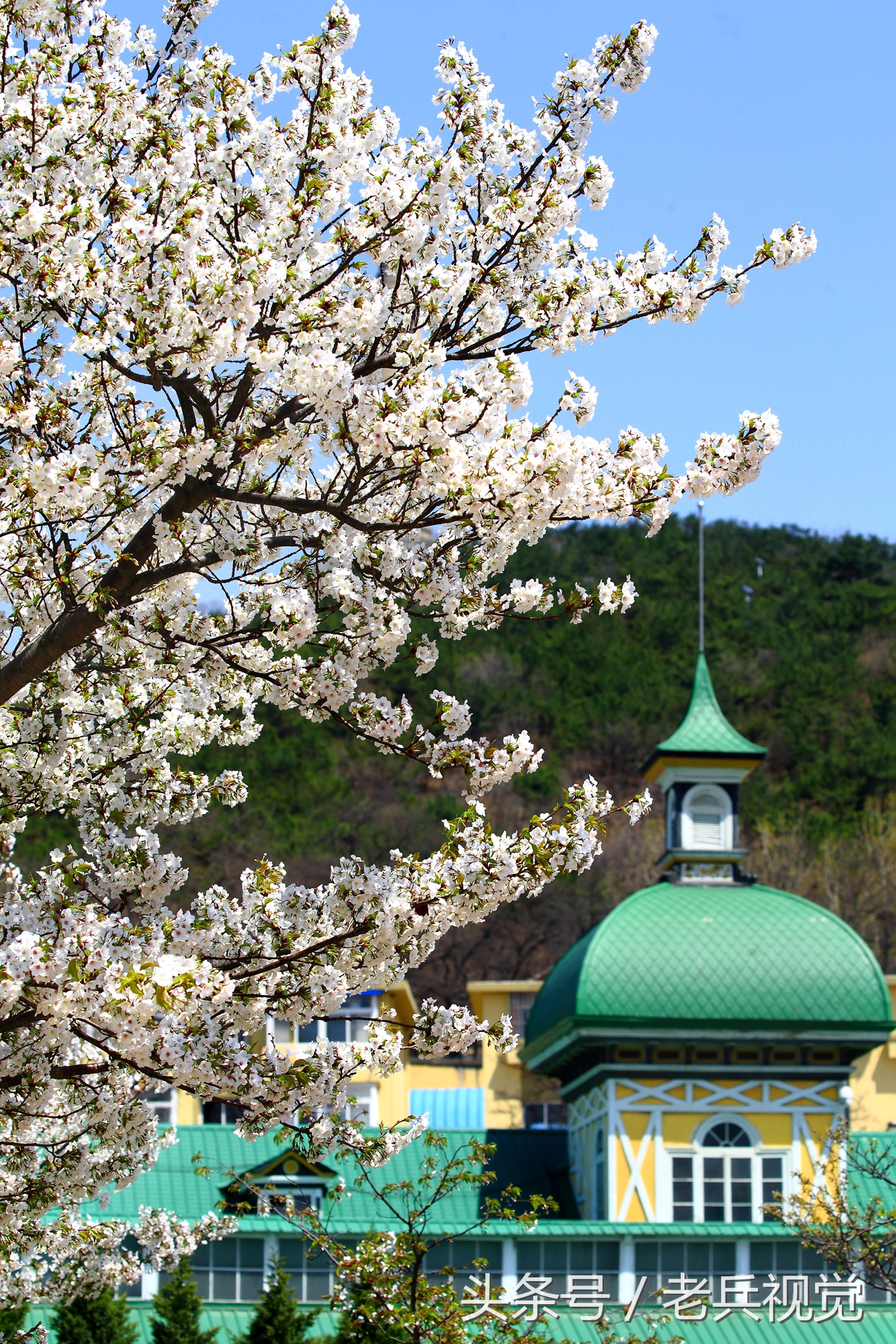 从大连到杭州上海苏州,大连到杭州旅行