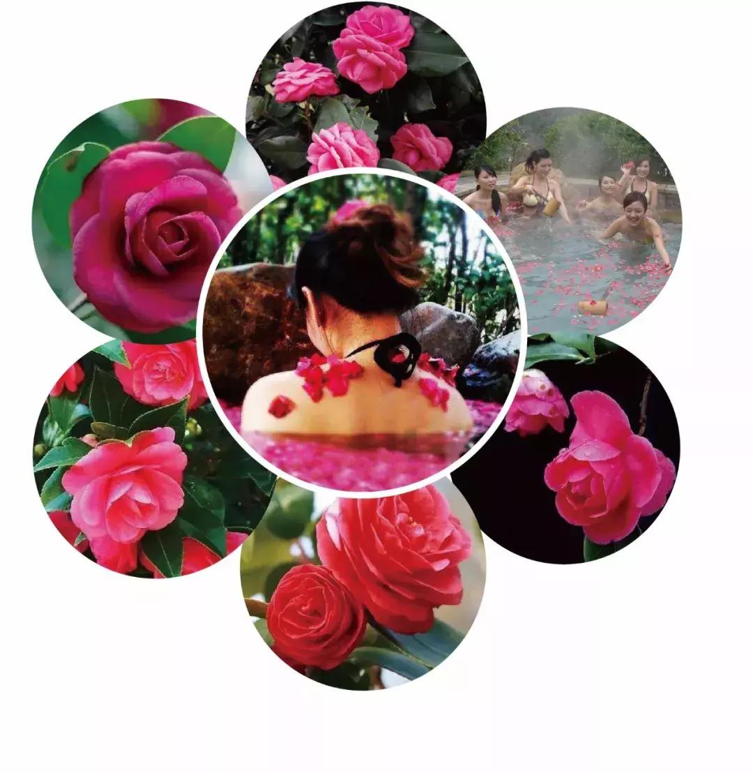 广东清远森波拉旅游度假区,清远森波拉景区