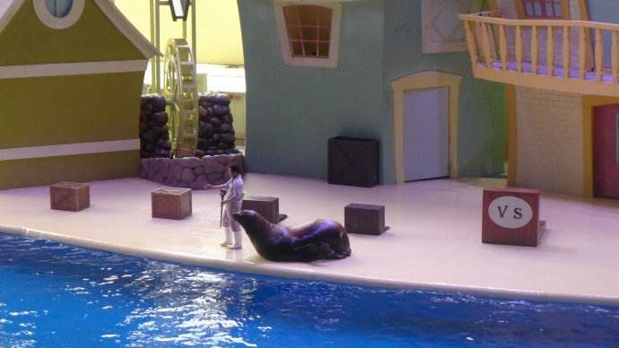 去珠海长隆海洋王国住哪里好,玩转珠海长隆海洋王国全攻略