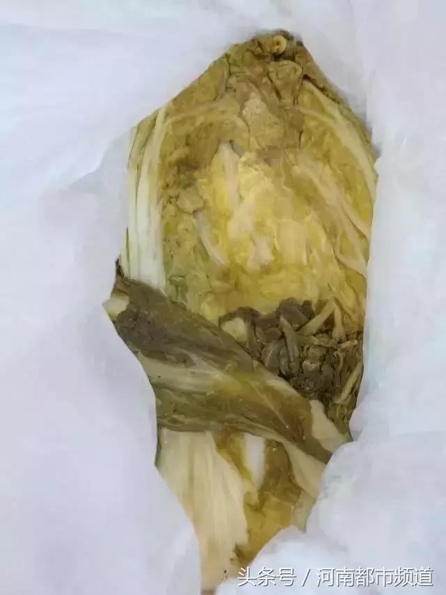 “我妈可能觉着我在外面会饿死！”打开返程后备箱，暖心又扎心！