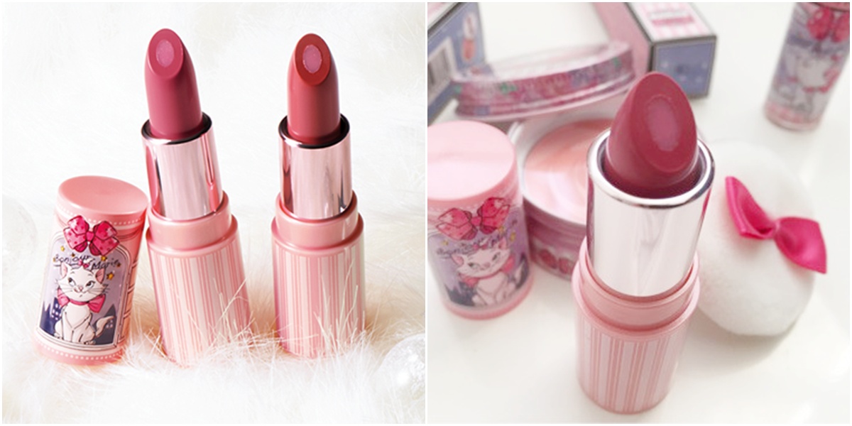 一些非常可爱的猫咪,这些可爱的猫咪让人着迷