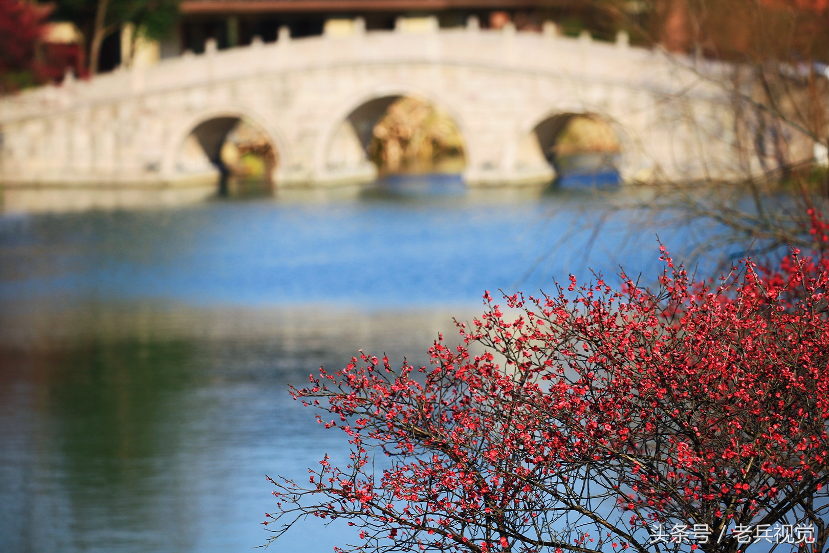 从大连到杭州上海苏州,大连到杭州旅行