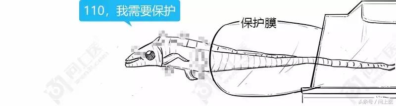 为什么别人的头发总是光滑柔顺你的却毛躁不堪？漫画教你如何护发