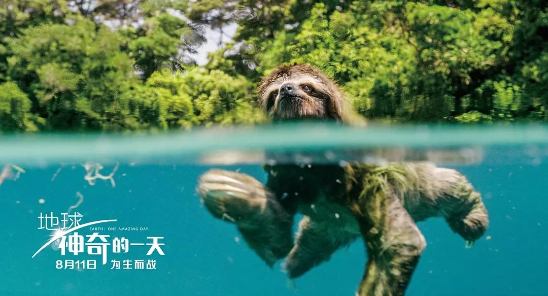 2017骞翠腑鍥界邯褰曠墖澶у叏,2017骞存礊鏈楀嵄鏈虹邯褰曠墖