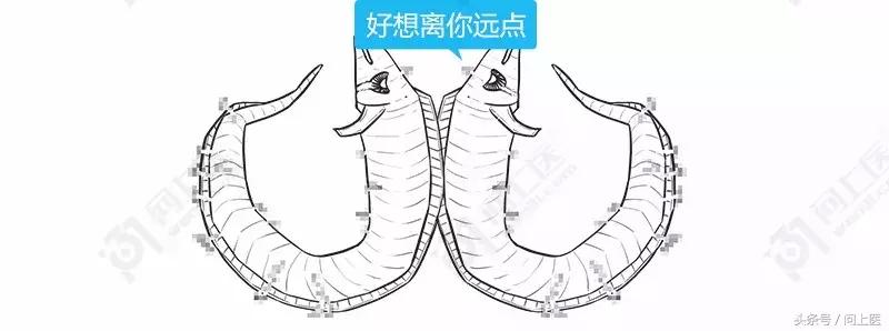 为什么别人的头发总是光滑柔顺你的却毛躁不堪？漫画教你如何护发