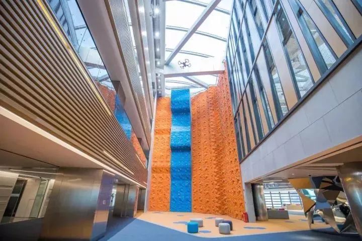 深圳最具发展潜力的10家小公司,深圳最牛逼企业排名