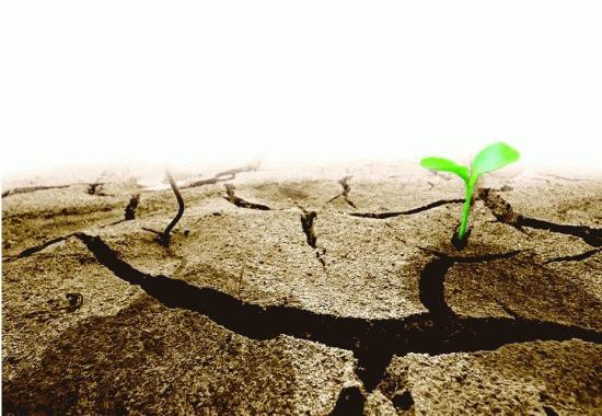 职场上的血泪和时间换来的感悟,致所有职场中迷茫的年轻人