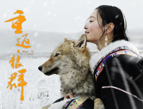 2017年洞朗危机纪录片,2012年评分最高的十部电视剧