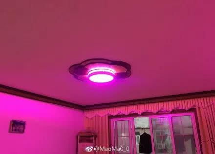 父母给装修的房子看完我就哭了,爸妈留给我的房子装修