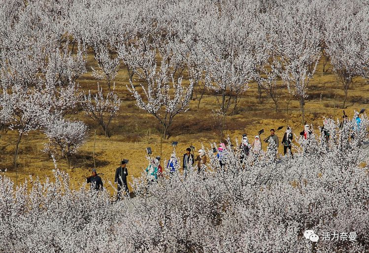 45万人的名片,太漂亮了!!《奈曼人的名片》最新版,45万次!!!精工打造!!!