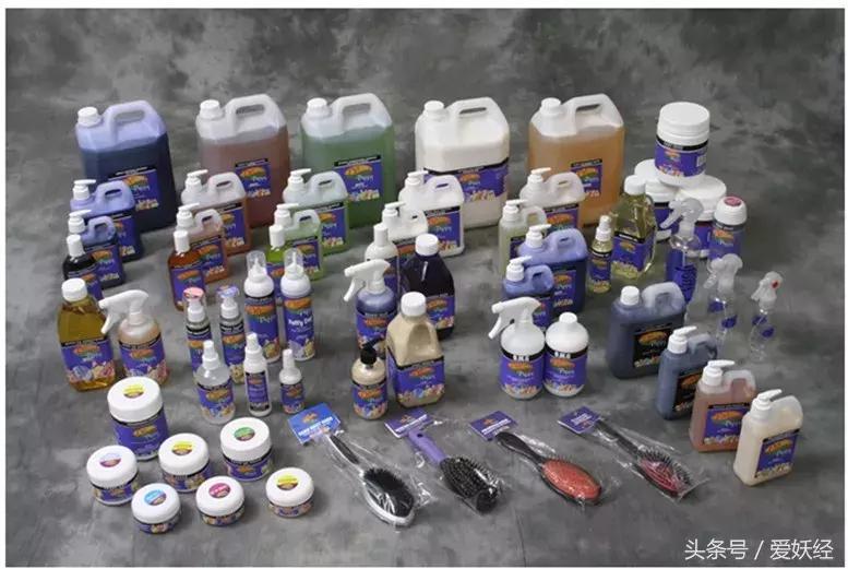 宠物洗护攻略,爱妖经养宠怎么玩