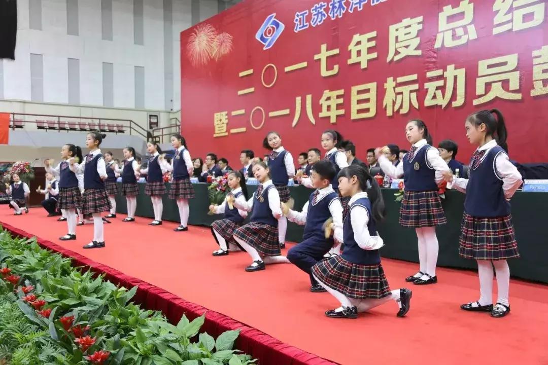 林洋能源战略规划,林洋能源领导考察