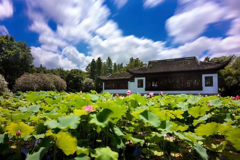 上海新年一定要去的地方,过年上海去哪玩好又便宜又好玩