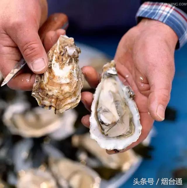 胶东四季的时令海鲜表,老渔民告诉你应季海鲜