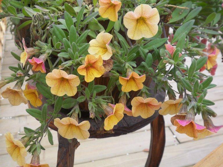 爱自然主题活动,爱自然爱生活视频