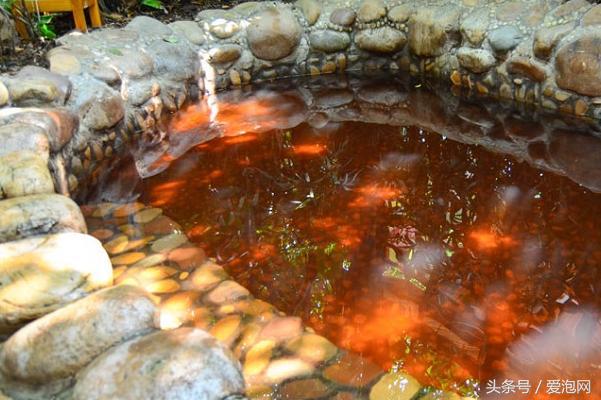 广东泉眼温泉推荐,中山温泉和泉眼温泉哪个更好