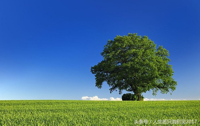 高情商的人如何在朋友圈做生意