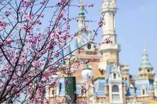 阜阳市好消息,好消息阜阳人的医保将有大变化