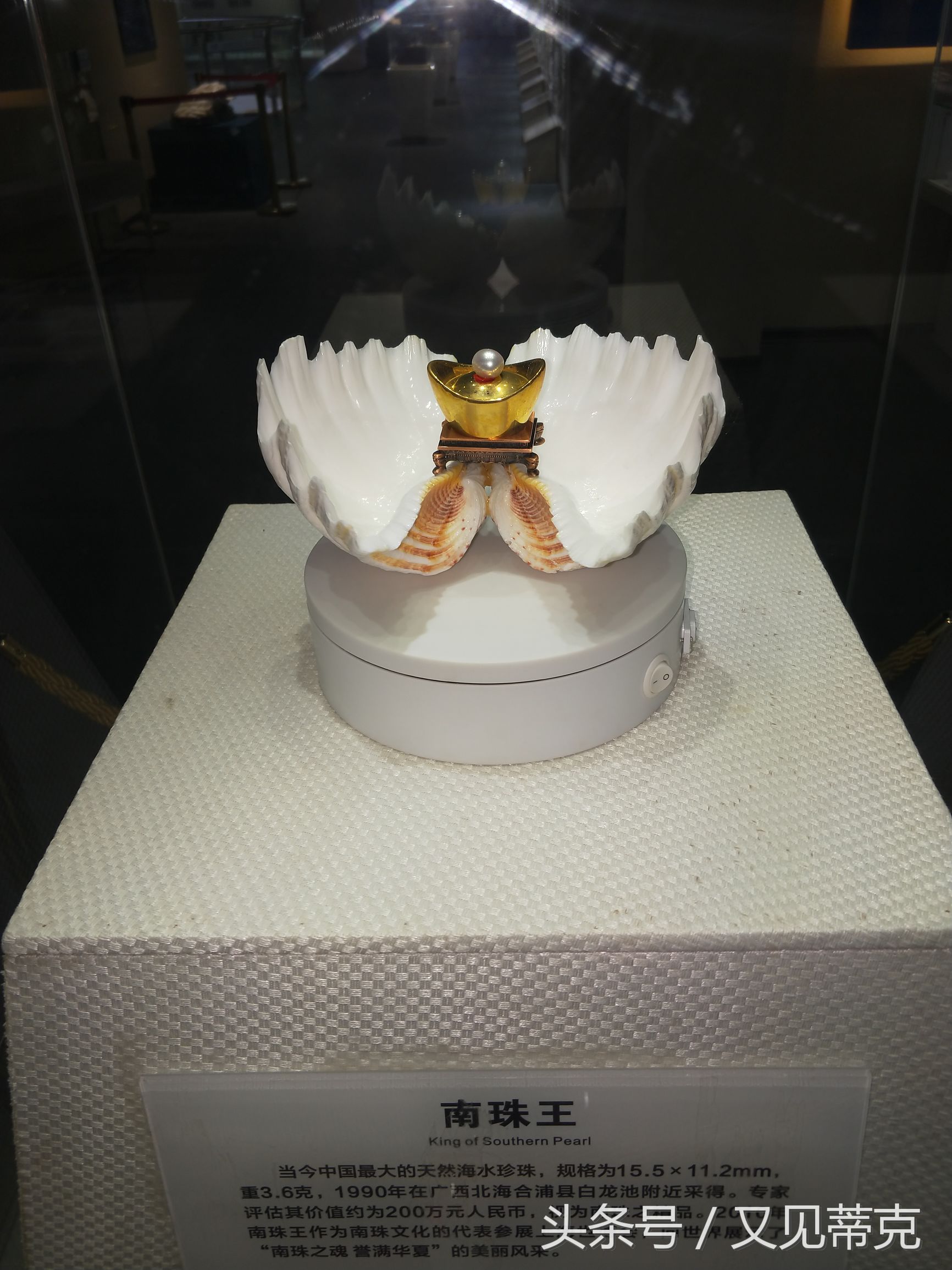 北海珍珠哪里买便宜又好,北海有珍珠厦门有啥