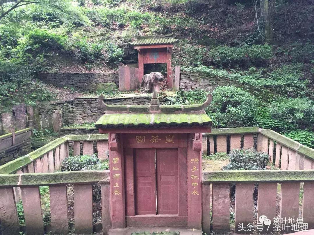 如果给中国名茶选代言人，历史上这些帝王分别可以代言什么茶？