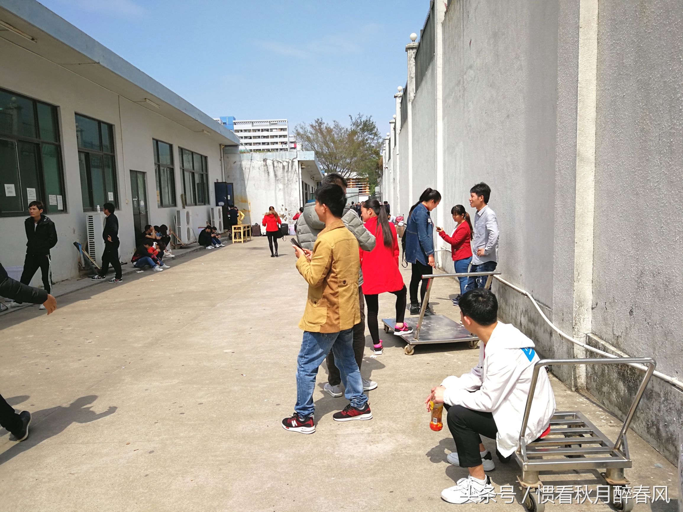 宝龙比亚迪招聘直招,宝龙比亚迪最新招工信息